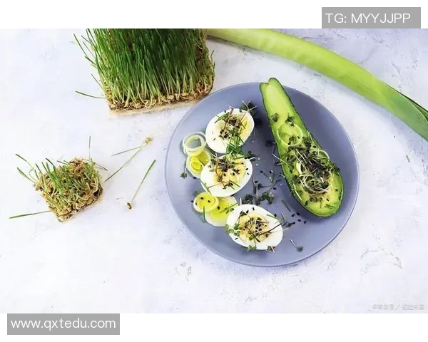 足球明星热衷牛油果饮食揭秘健康饮食背后的运动秘密与营养价值分析